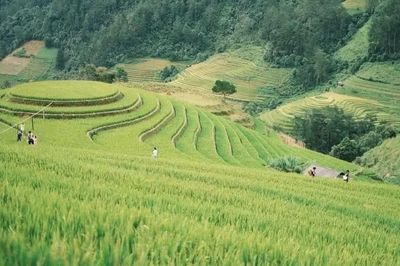 Đưa di sản thành sản phẩm du lịch ở Púng Luông