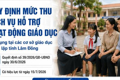 Lâm Đồng quy định mức thu tối đa dịch vụ hỗ trợ giáo dục