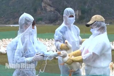 Chủ động kiểm soát và phòng, chống dịch bệnh trên đàn vật nuôi