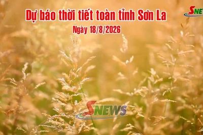 Dự báo thời tiết toàn tỉnh Sơn La ngày 18/8/2026