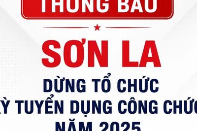 Sơn La chính thức dừng kỳ tuyển dụng công chức 2025