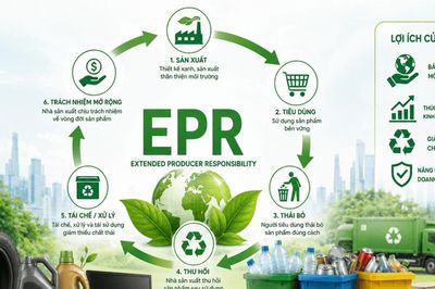 EPR cần lộ trình phù hợp với năng lực tái chế