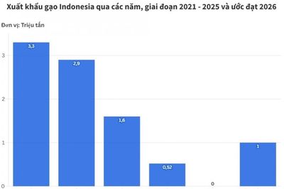 Indonesia xuất 1.000 tấn gạo cao cấp sang Malaysia