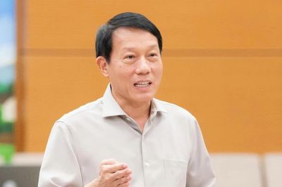 Bộ trưởng Lương Tam Quang giải trình về chính sách đặc thù để xử lý vi phạm pháp luật về kinh tế