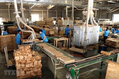 Chấp thuận đầu tư Nhà máy chế biến lâm sản Hà Linh hơn 54,5 tỷ đồng