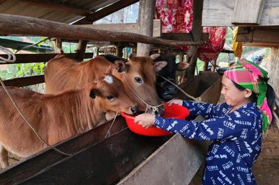 Đẩy nhanh phân bổ và giải ngân vốn các chương trình mục tiêu quốc gia