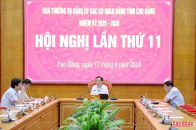 Hội nghị lần thứ 11 Ban Thường vụ Đảng ủy các cơ quan Đảng tỉnh