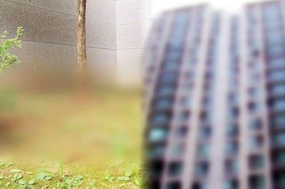 Mẹ tỉnh dậy không thấy con trai 6 tuổi đâu, 26 phút sau phải chứng kiến cảnh tượng đau lòng