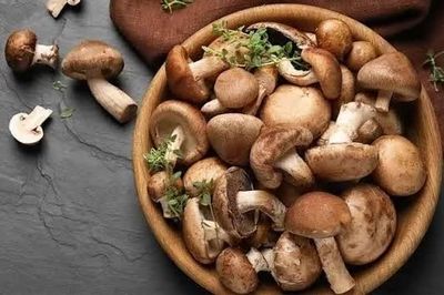 4 loại nấm vừa ngon vừa bổ, thích hợp đưa vào thực đơn khi trời chuyển thu