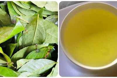 Điều gì xảy ra nếu bạn uống nước chè xanh mỗi ngày?