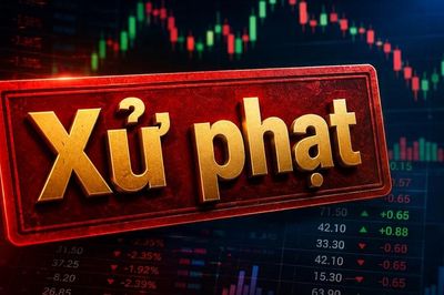 Công ty Cổ phần Minh Hữu Liên vi phạm chứng khoán