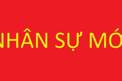 Phê chuẩn kết quả bầu, miễn nhiệm chức vụ Phó Chủ tịch UBND 2 thành phố