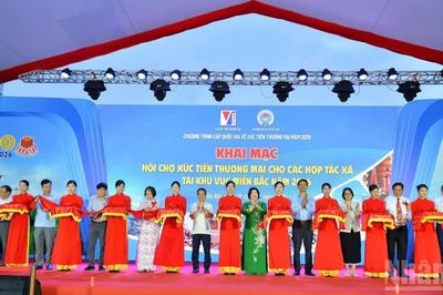Mở rộng thị trường cho hợp tác xã miền bắc