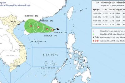 Chủ động ứng phó với áp thấp nhiệt đới trên Biển Đông