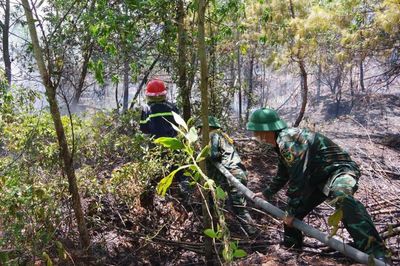 Khống chế vụ cháy rừng trên núi Cấm