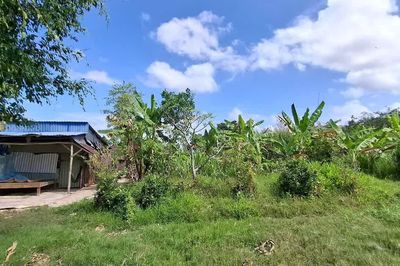 Cà Mau: Thu hồi đất dự án Trung tâm sản xuất giống cây rừng chất lượng cao