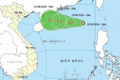 Cập nhật diễn biến áp thấp nhiệt đới: Trên vùng biển phía Đông khu vực Bắc Biển Đông, gió cấp 6, giật cấp 8
