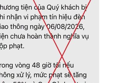 Cảnh báo chiêu lừa nộp 'phạt nguội' qua tin nhắn