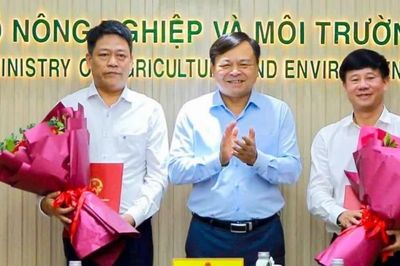 Ông Nguyễn Thượng Hiền làm Cục trưởng Quản lý đê điều và Phòng, chống thiên tai từ 20/8
