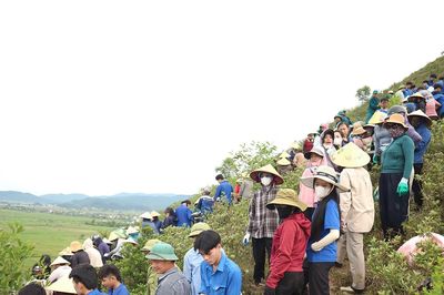 Dòng người nối nhau khuân từng tấm bê tông, làm điều đặc biệt trên núi Nhón