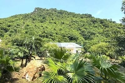 Sạt lở đá vào nhà dân, yêu cầu tạm dừng sử dụng vật liệu nổ tại mỏ núi Mai