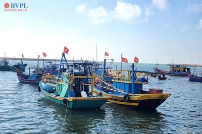TP Hồ Chí Minh quy định mức thu tiền sử dụng khu vực biển giai đoạn 2026-2030