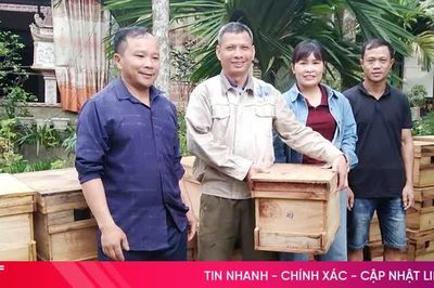 Mô hình sinh kế mở lối thoát nghèo ở Sơn Kim 1