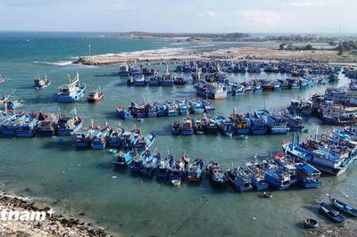 Gỡ 'thẻ vàng' IUU, phát triển nghề cá bền vững: Cần thực thi quyết liệt từ cơ sở