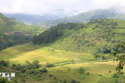Đánh thức mùa vàng Lào Cai bằng chuỗi trải nghiệm văn hóa và thể thao độc đáo