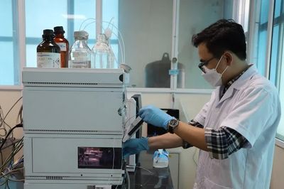 Chuẩn hóa dữ liệu - tài sản mới thúc đẩy năng suất