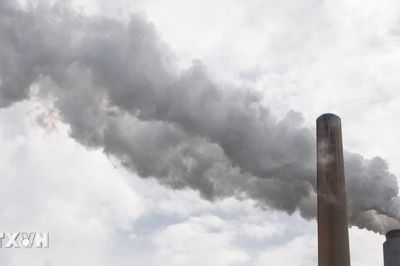 Giải mã vai trò quan trọng của thị trường carbon EU