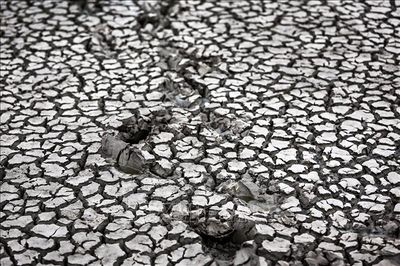 Malaysia đối mặt nguy cơ El Nino cường độ mạnh gây khô hạn và khói bụi