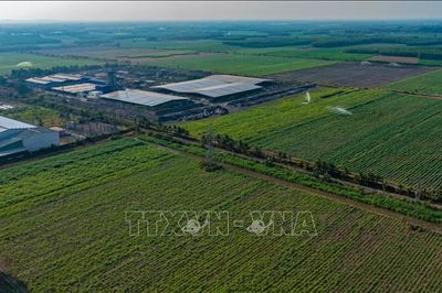 Chuyển sản xuất nhỏ lẻ sang liên kết chuỗi