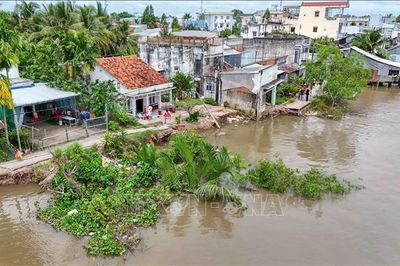 207 điểm sạt lở ở Cần Thơ chưa có nguồn vốn để gia cố