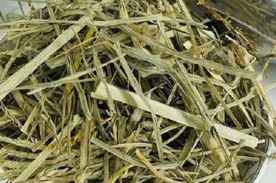 Thứ cỏ mọc dại 'nhổ đi không hết' lại là vị thuốc quý giúp thanh nhiệt, mát gan
