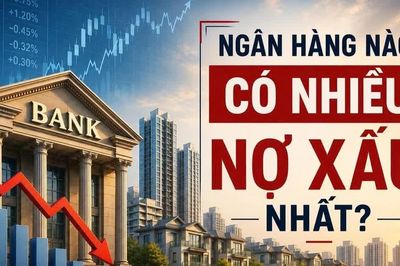 Ngân hàng nào "ôm" nhiều nợ xấu nhất?