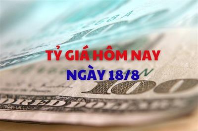 Tỷ giá hôm nay 18/8: USD tiếp tục đi lên