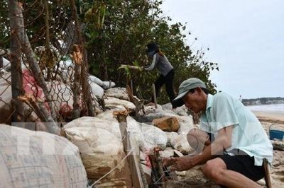 Các xã ven biển Quảng Ngãi chủ động ứng phó áp thấp nhiệt đới