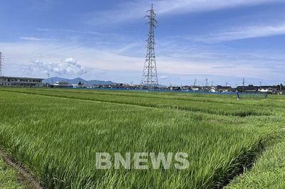 Nhật Bản và hành trình nông nghiệp xanh - Bài 1: Chiến lược MIDORI