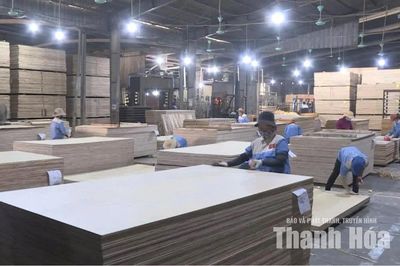 Chính sách thuế mới của Mỹ gia tăng áp lực cạnh tranh cho doanh nghiệp