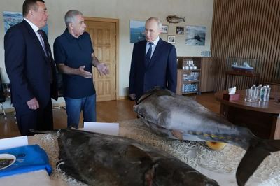 Nga - Nhật gia tăng căng thẳng vì chuyến thăm đảo Iturup của ông Putin