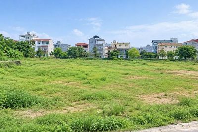 Khẩn trương rà soát toàn diện Luật Đất đai 2024 và văn bản liên quan