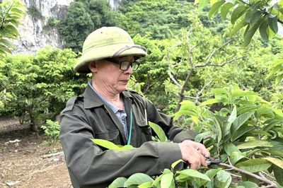 Cựu chiến binh làm kinh tế giỏi