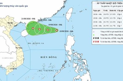 Cảnh báo áp thấp nhiệt đới trên Biển Đông ngày 18/08/2026: Gió giật cấp 8, biển động mạnh