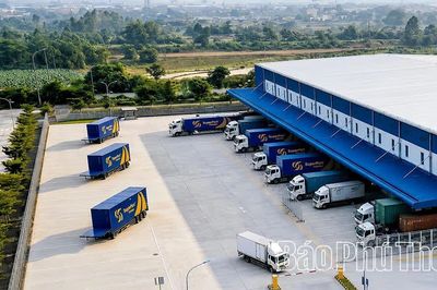 Logistics - Đòn bẩy trong xuất khẩu và thương mại của Phú Thọ