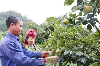 Diện mạo mới Phiêng Cằm