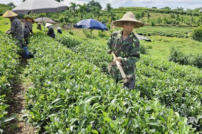 Vượt qua nghịch cảnh