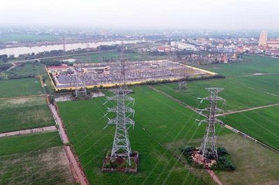 Sửa chữa 54 vị trí trên đường dây 220kV Thái Bình 2 - Trực Ninh
