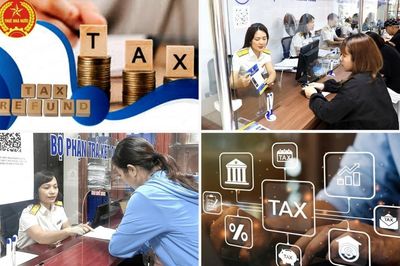 Ngành Thuế ban hành trên 11.600 quyết định hoàn thuế, số tiền hoàn thuế tăng 32%
