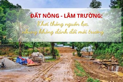 Đất nông lâm trường: Khơi thông nguồn lực, nhưng không đánh đổi môi trường